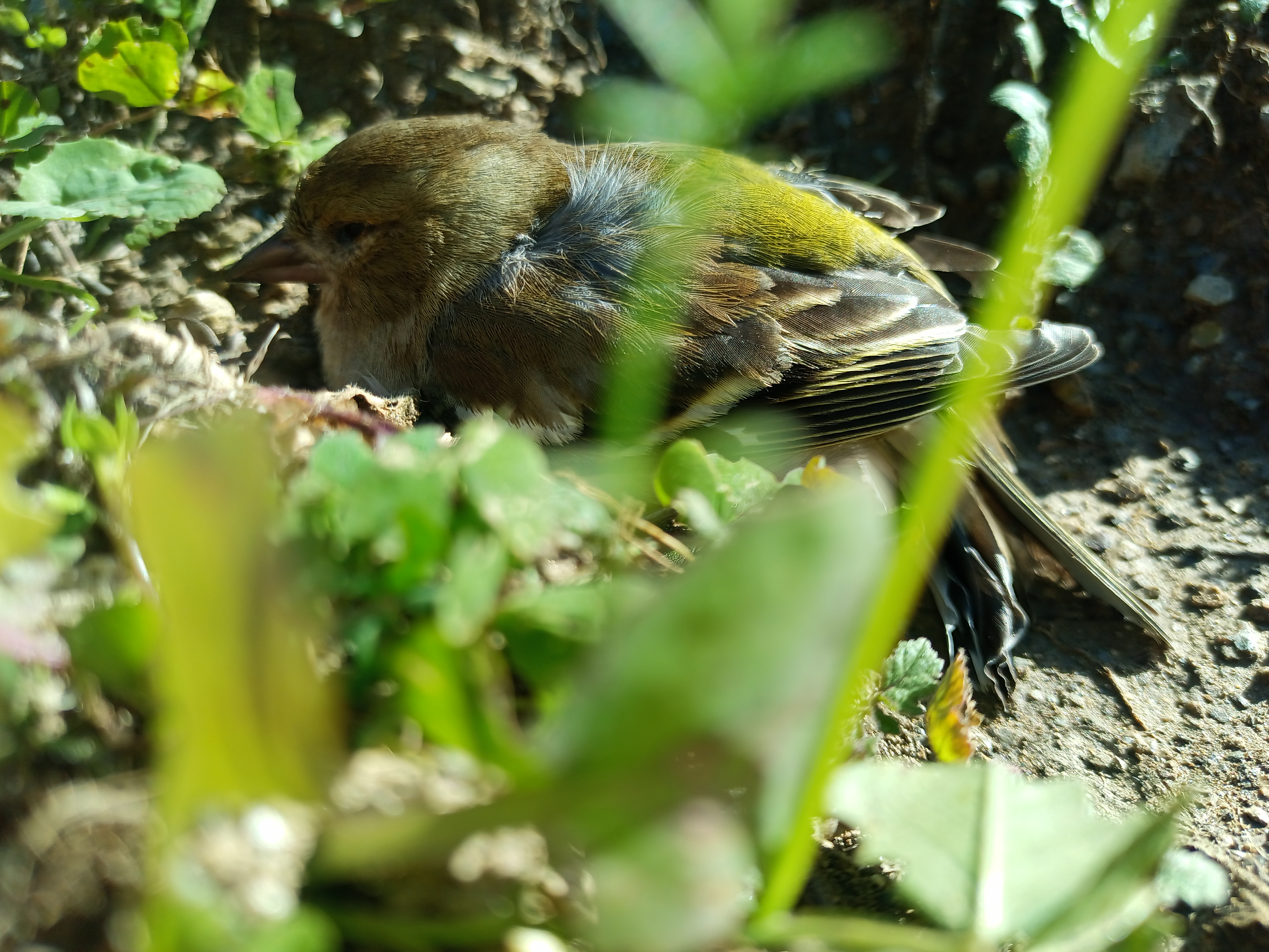 IMG_20230204_140345_194