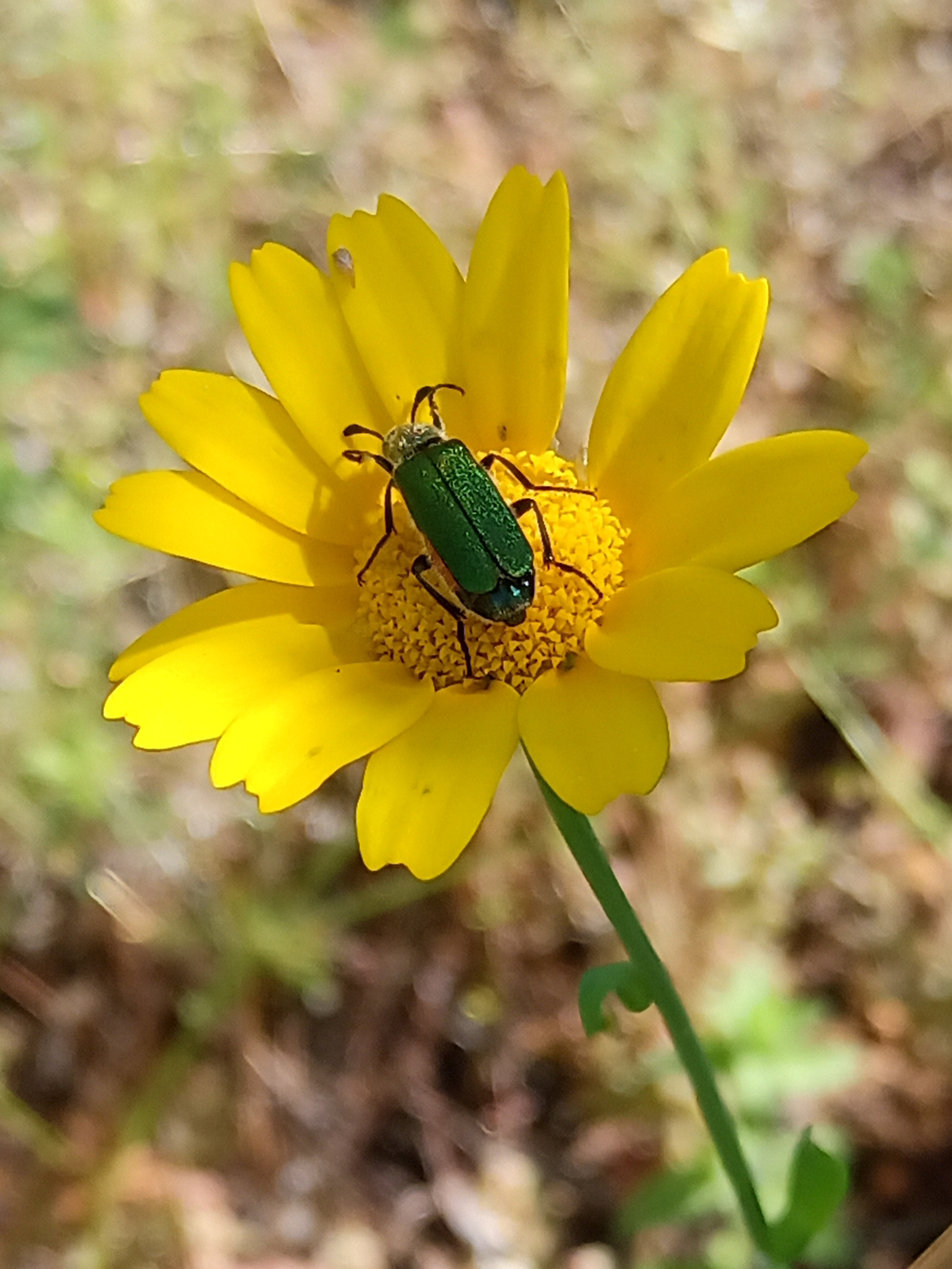 IMG_20230518_104024_075