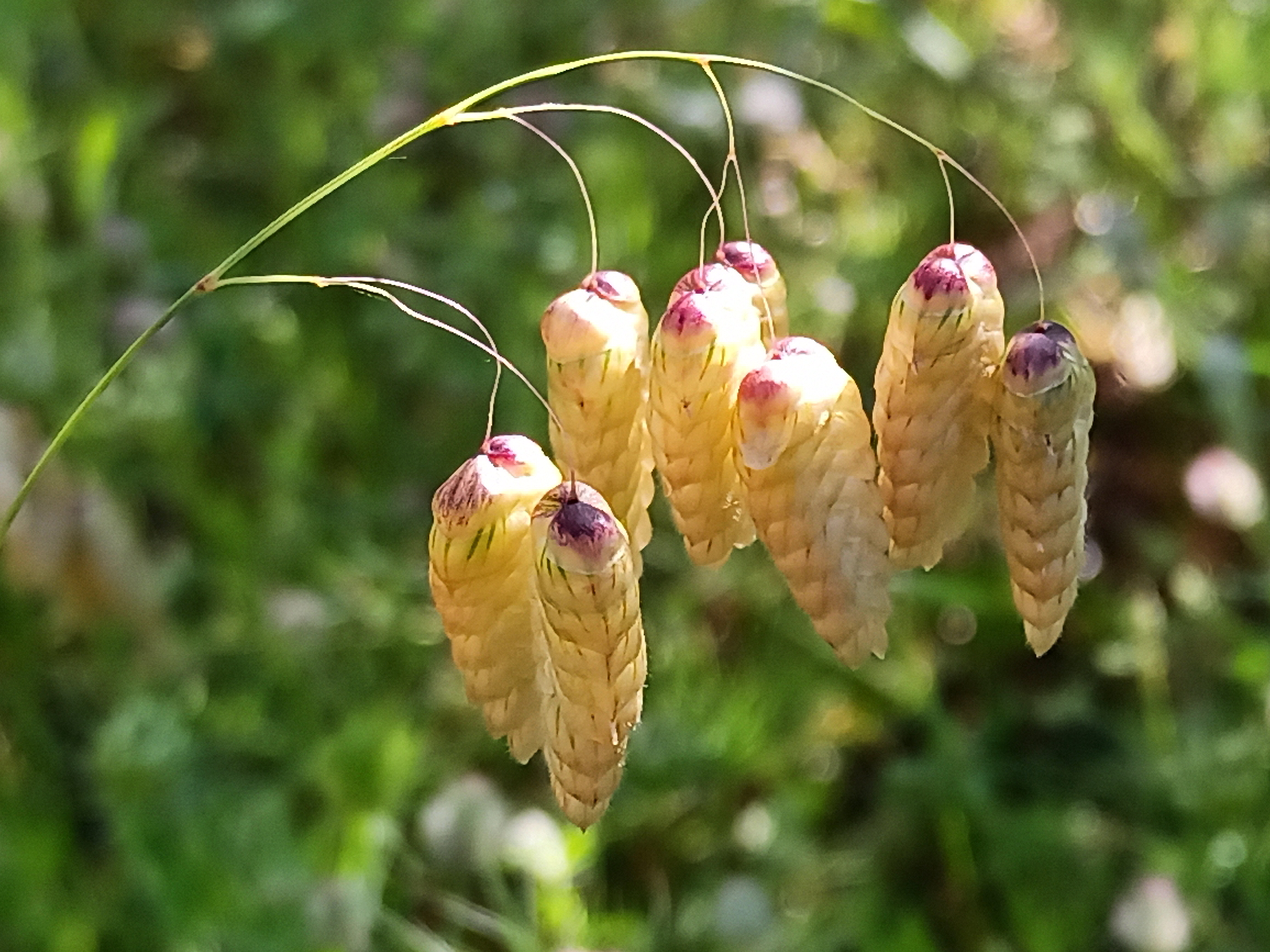 IMG_20230519_093011_861