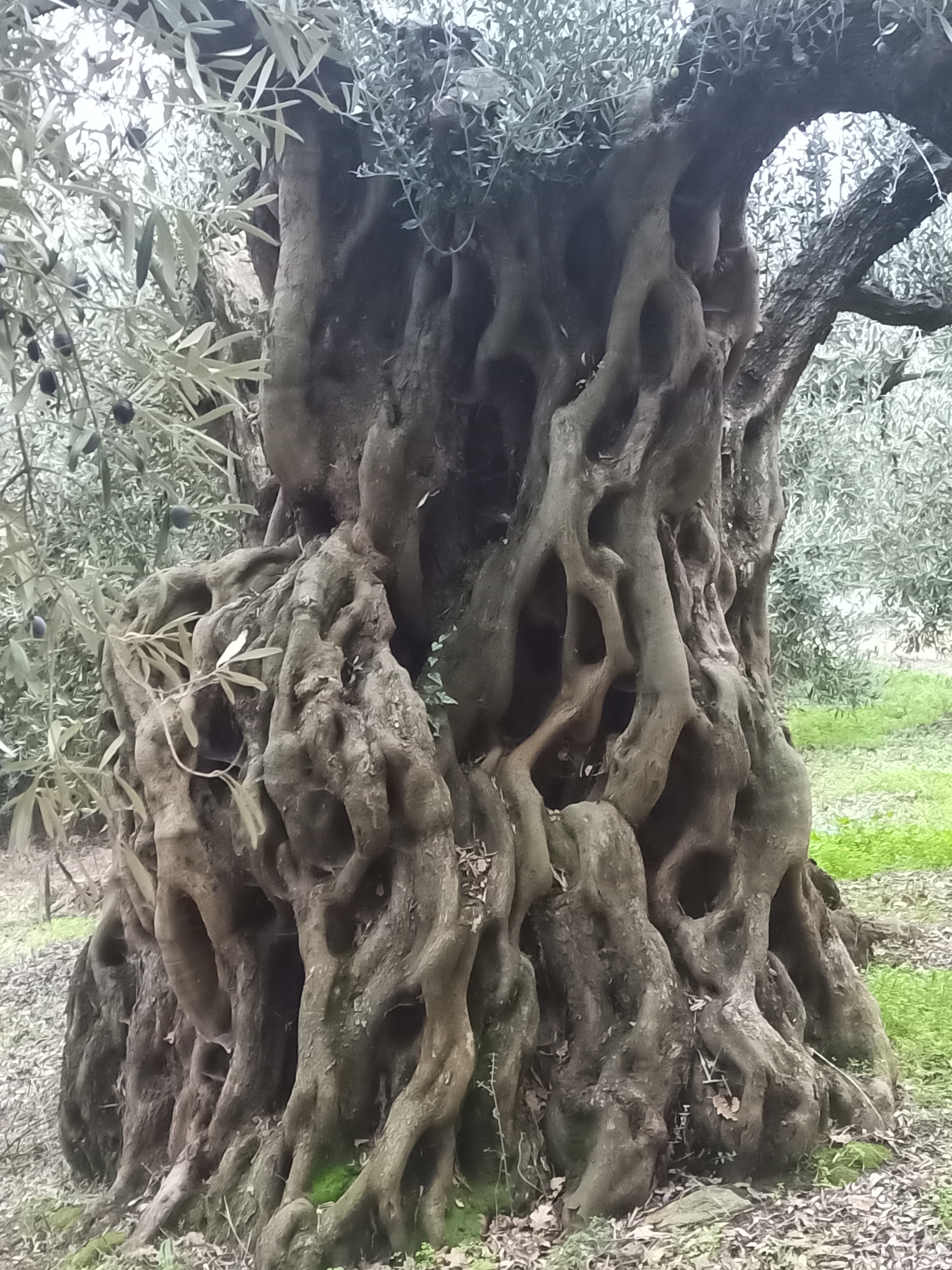 IMG_20221214_161134_293