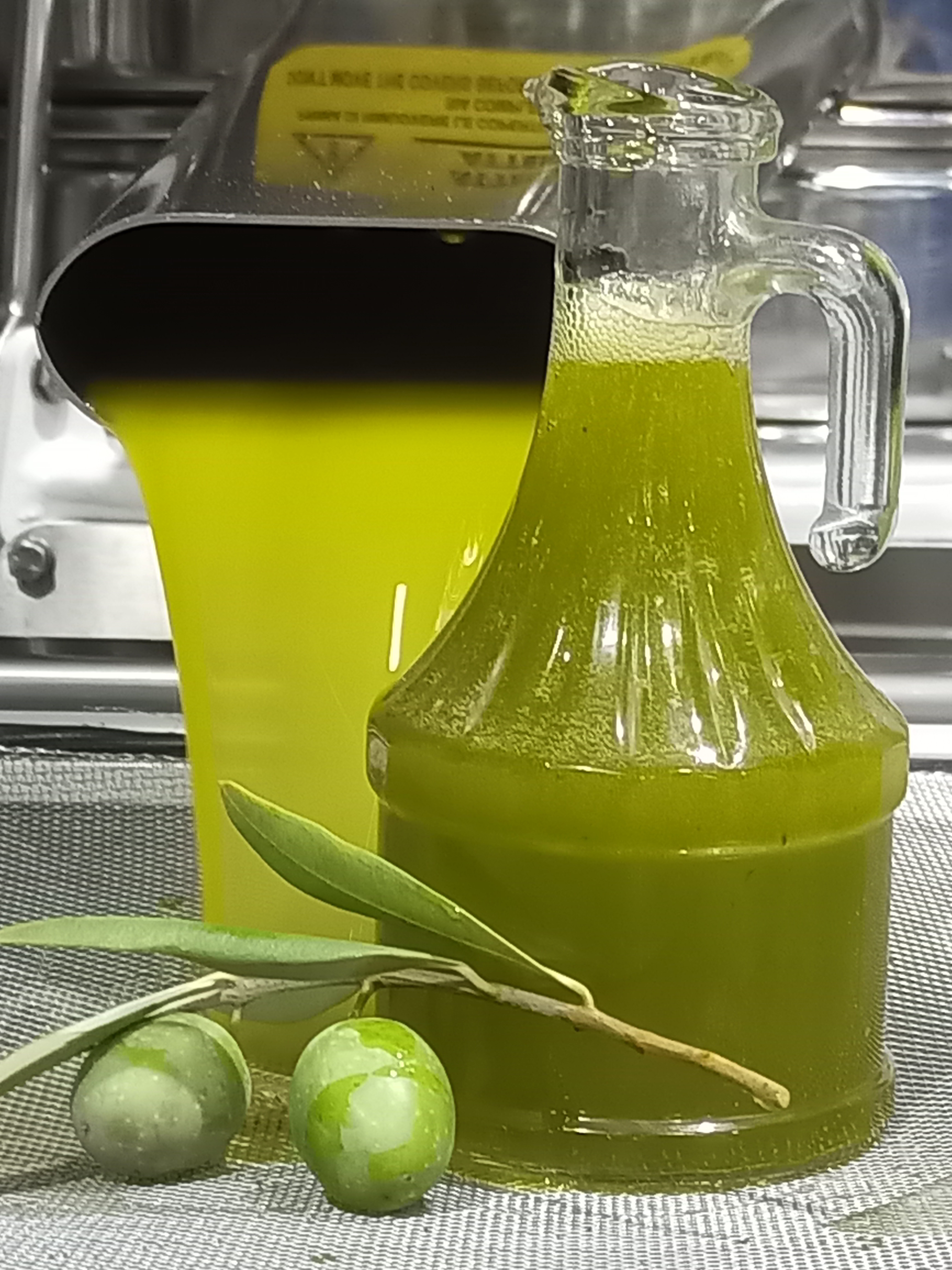 IMG_20241016_192319_528