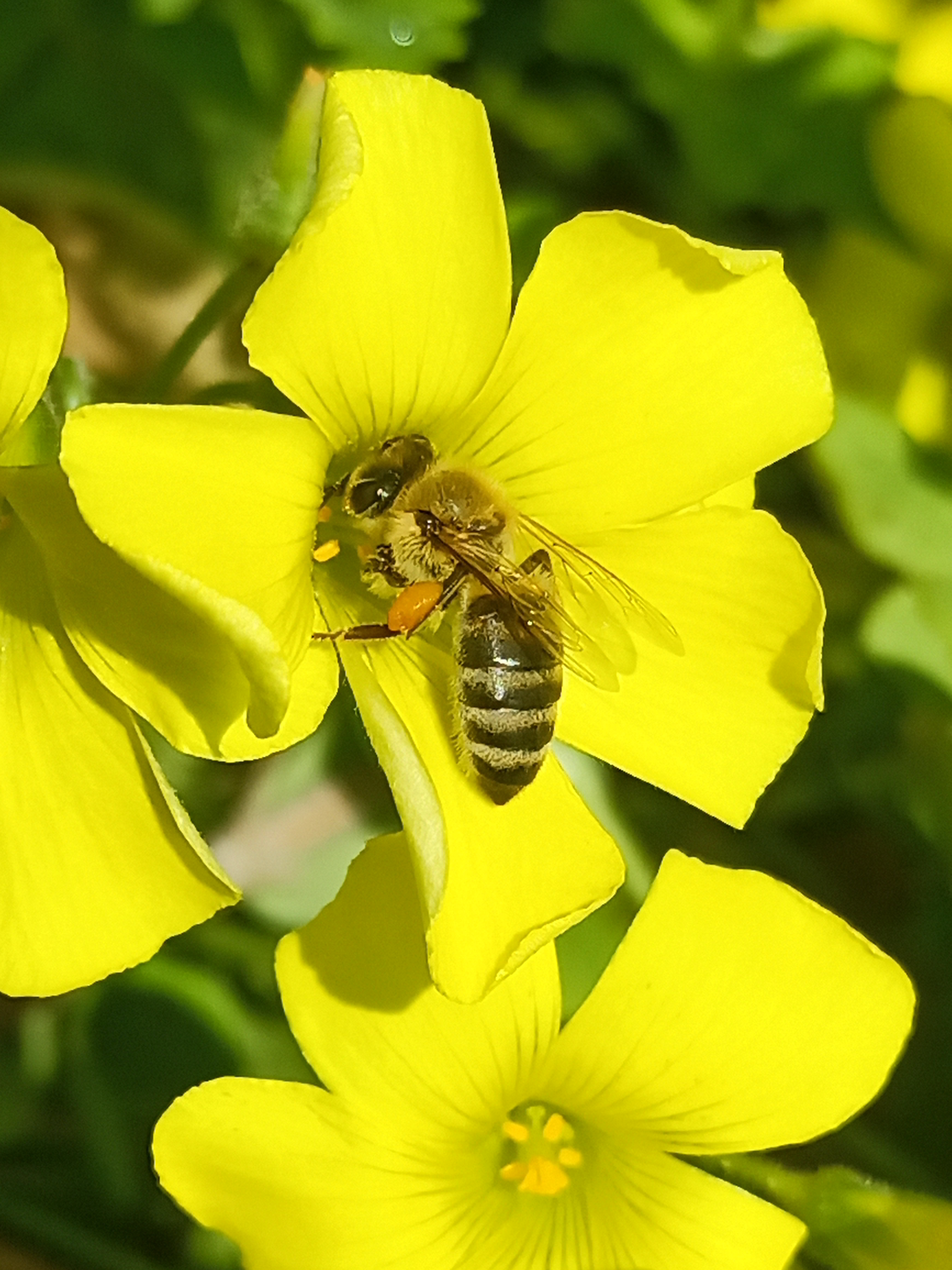 IMG_20250215_125757_340