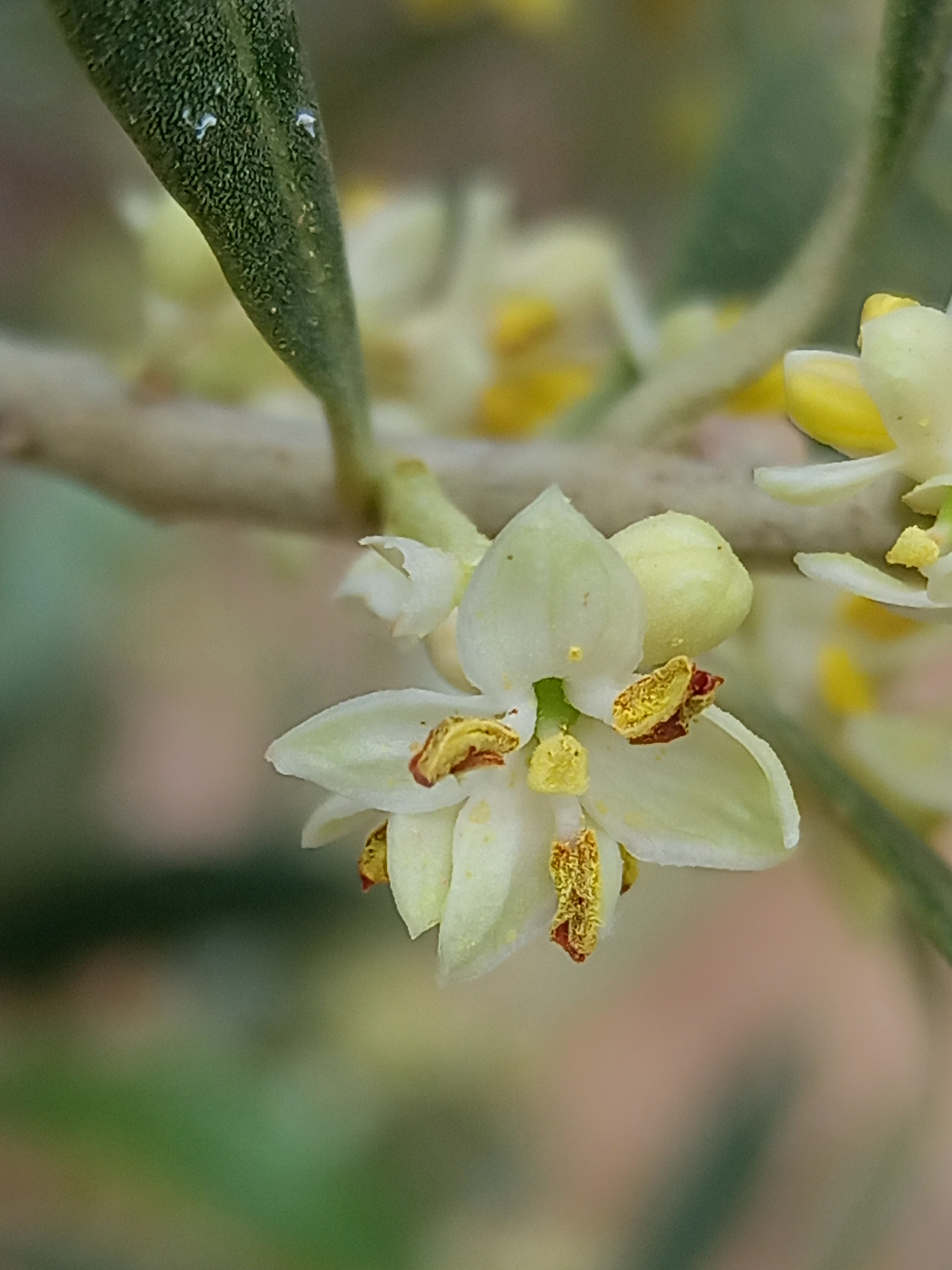 IMG_20240501_120437_705