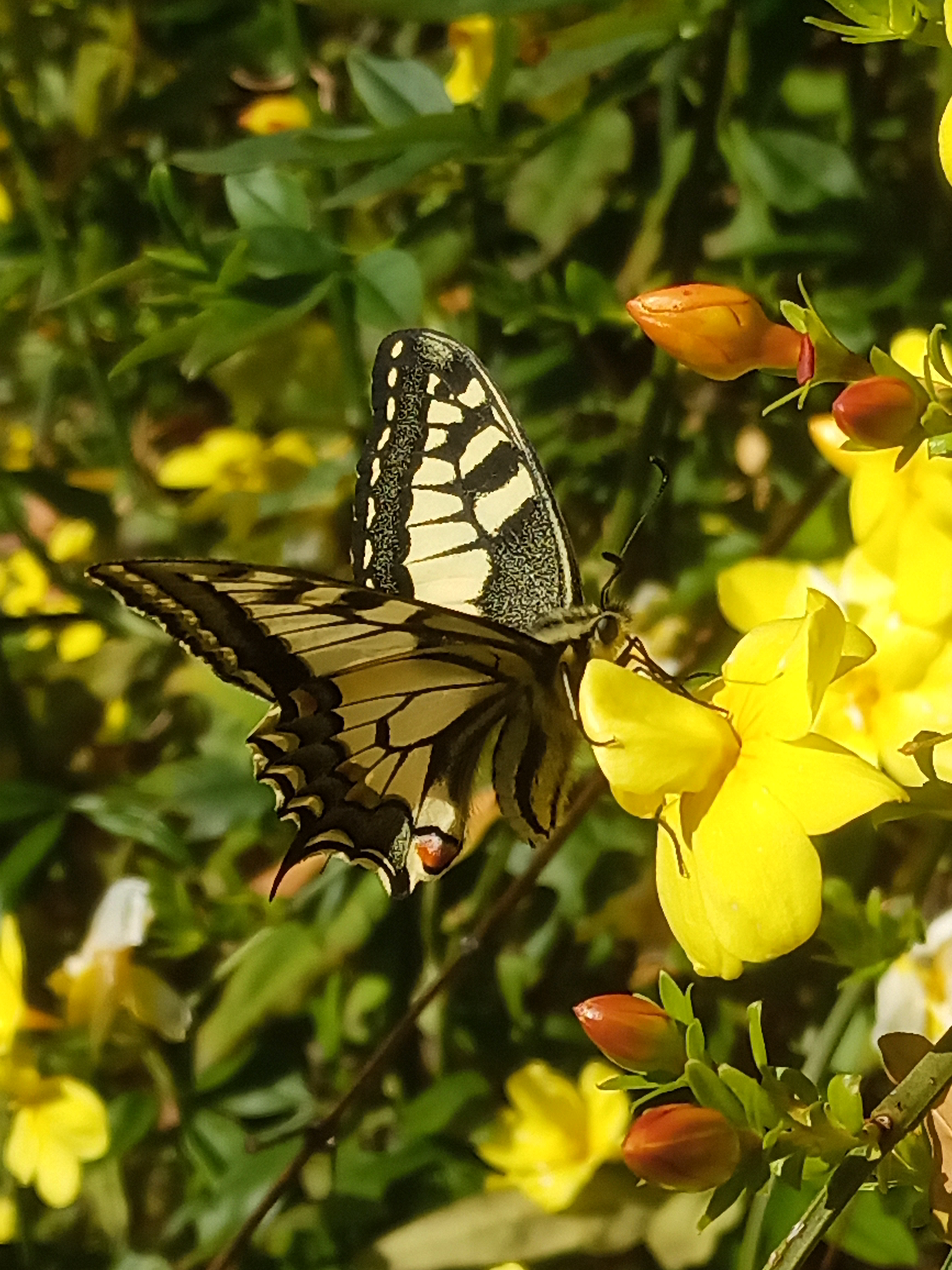 IMG_20250311_150023_033